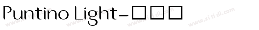 Puntino Light字体转换